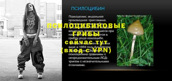 первитин Белокуриха