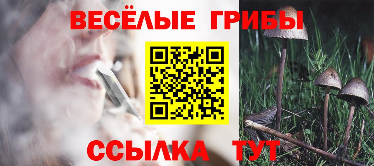 Саяногорск  Псилоцибиновые грибы Psilocybine cubensis  Псилоцибиновые грибы Psilocybe  Вход с VPN 