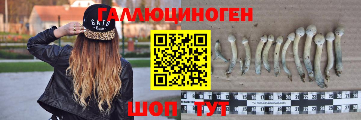 Галлюциногенные грибы ЛСД Саяногорск